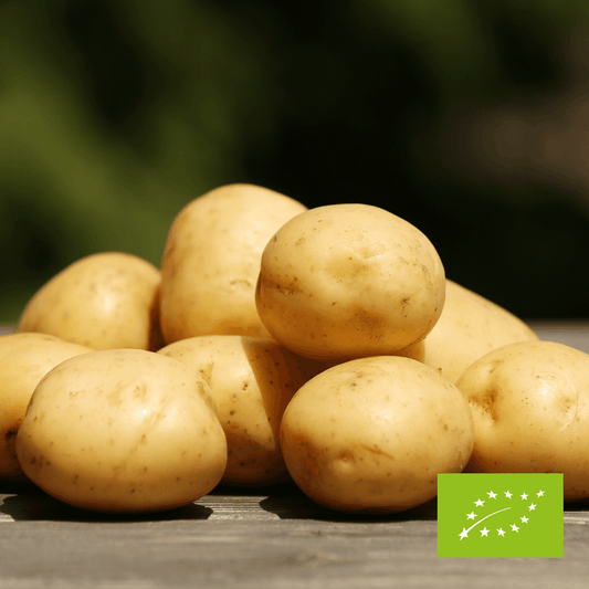 Ziemniaki Catania EKO 3 kg EKO