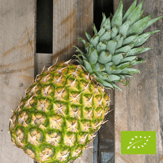Ananas EKO 1 szt.